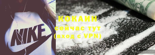 винт Горняк