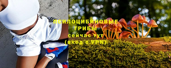 винт Горняк