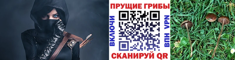 Псилоцибиновые грибы мицелий  Купить закладки  Балашов 